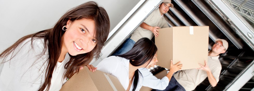 Professional Removalists Pagewood